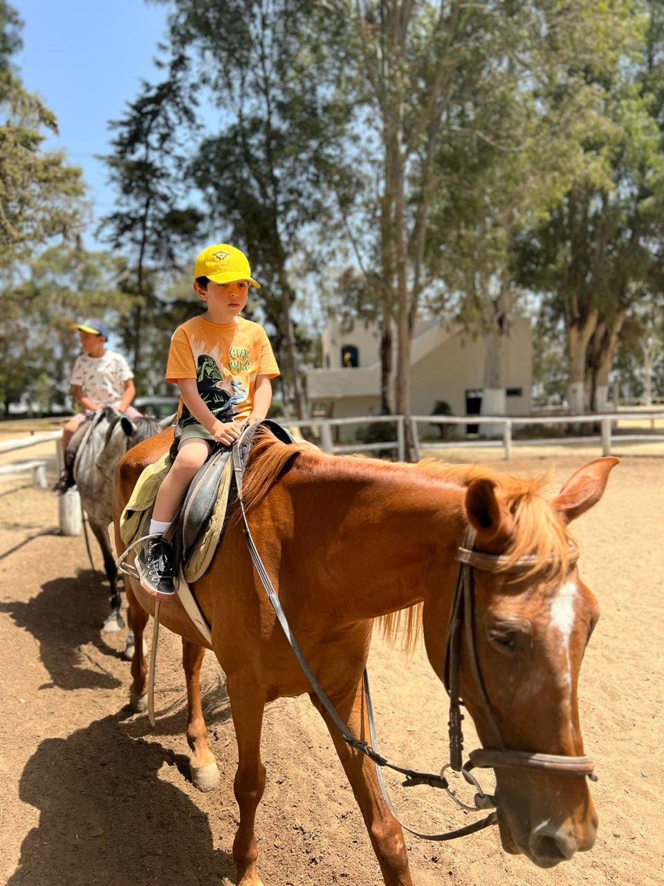 WhatsApp Image 2024 04 05 at 03.41.20